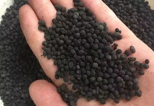 生物有機(jī)肥有什么 生物 一